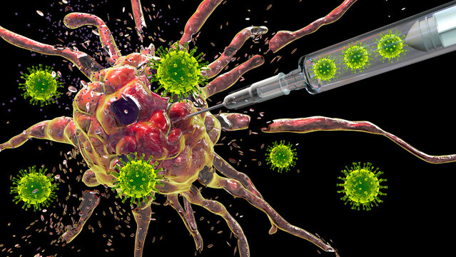 Oncolytic viral therapy, conceptual illustration