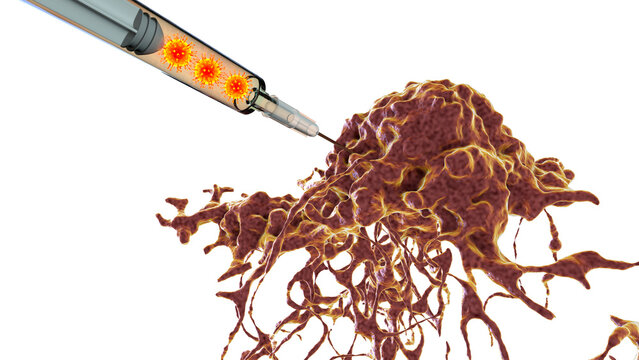 Oncolytic viral therapy, conceptual illustration