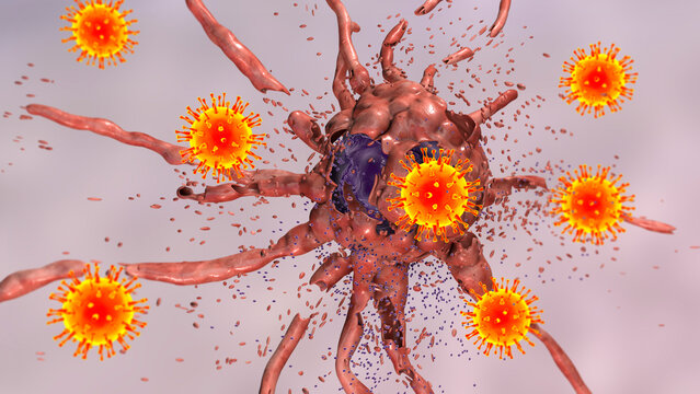 Oncolytic viral therapy, conceptual illustration