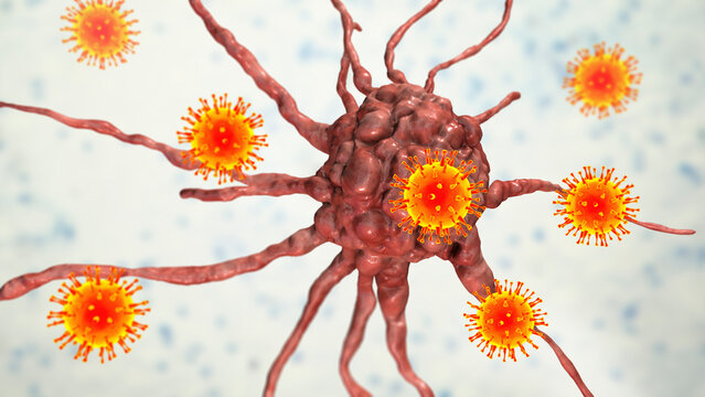 Oncolytic viral therapy, conceptual illustration