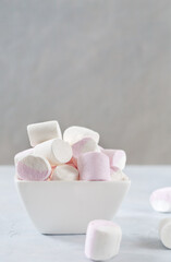 Airy marshmallows for baking and hot chocolate in a bowl close-up. Winter food background concept.