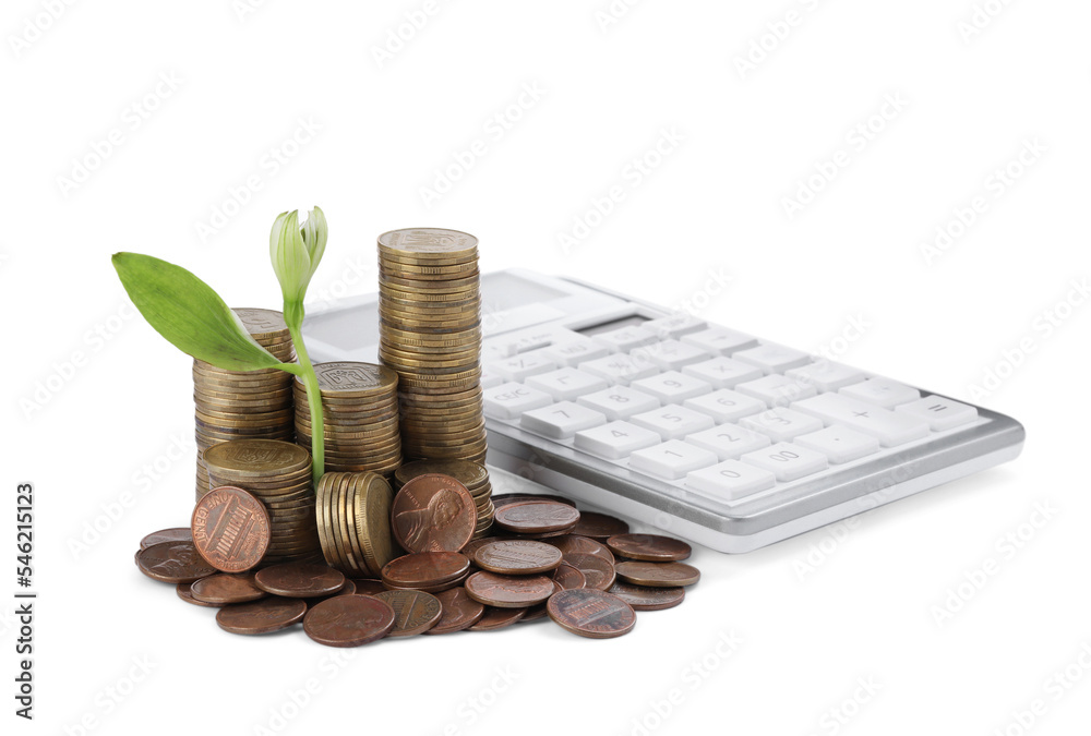 Wall mural stacks of coins with green plant and calculator on white background. investment concept