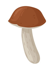 Cartoon birch mushroom. Seasonal organic food, autumn forest plants. Mushroom flat vector illustration