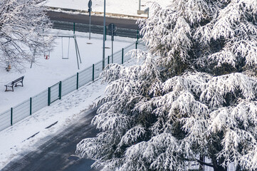 Alberi ricoperti di neve. Inverno stagione di nevicata su alberi e parco cittadino.