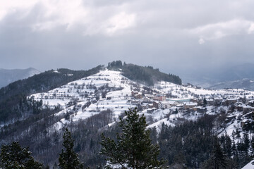 Fototapety na wymiar - Fototapeta24.pl
