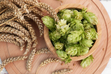 Fresh green hops and ears of wheat on wooden board, flat lay