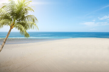 Fototapeta na wymiar Sandy beach with the blue ocean
