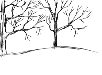 Trees with bare branches are black on a white background	