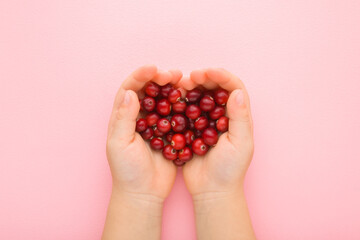 Baby opened palms holding heap of fresh red cranberries on light pink table background. Pastel color. Closeup. Point of view shot. Top down view.