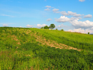 idyllic lighthearted summer countryside view
