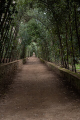 footpath in the park	