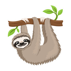 Cute animal sloth on a tree branch on a white background. © Lenan