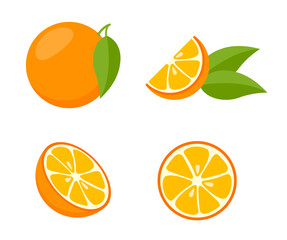 Set of citrus fruits - orange