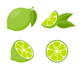 Set of citrus fruits - lime