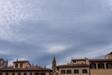 Fototapeta na wymiar View of the town Florence. Orange ancient houses stay against a dark cloudy sky. A flock of birds circles over the houses. Panorama. Italy.