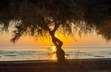 alba sul mare a marzamemi