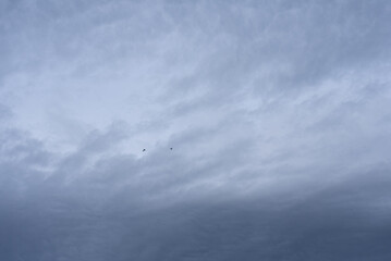 Dark storm clouds in the sky. Two black  birds in the dark sky.   Background, texture. Overcast.