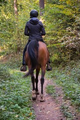 Pferd mit Reiterin auf einem Pfad durch den Wald am Nachmittag.