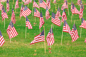 american flags in ground celebrating or honoring veterans that served in the armed forces, a symbol of patirotism and love of country