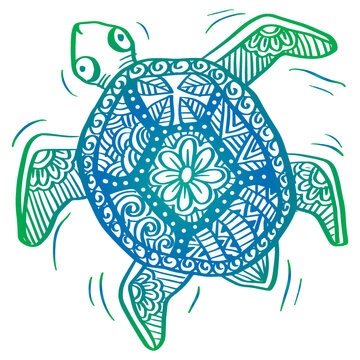 Hand drawn turtle zentangle art