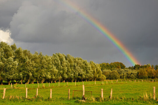 Regenbogen mit Bäumen