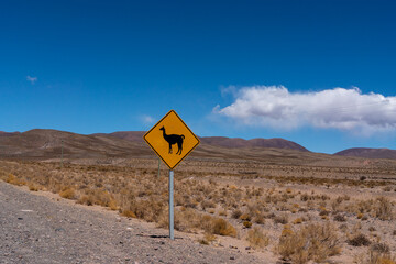 Route 40 Ruta 40 Argentina Road Trip. Road sign Beware of guanaco crossing 