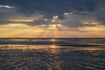 Beautiful sky painted by the sun leaving bright golden shades. Dense clouds