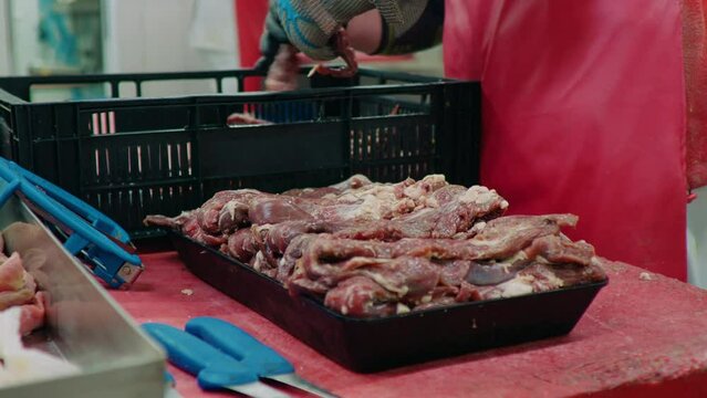 Male worker hands arranging raw lamb meat loins on tupperware ready to be sold in market. Lamb meat chops on display. Food industry content.