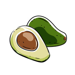 vector illustration sketch avocado on a white background