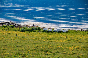 Aux alentours de Tromso