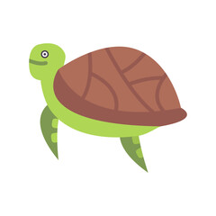 Turtle Icon