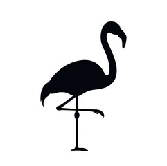 Silhouette of a flamingo standing on one leg