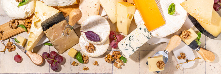 Different sorts of cheese set. Cheese platter with various cheese, with grapes, nuts, cheese knife and spices, light tiled background copy space