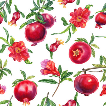 Pomegranates on a branch watercolor seamless pattern. Hand drawn realistic red fruits and flowers with leaves endless background for fabric and wallpaper. Tropical tree botanical illustration.