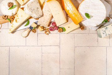 Different sorts of cheese set. Cheese platter with various cheese, with grapes, nuts, cheese knife and spices, light tiled background copy space