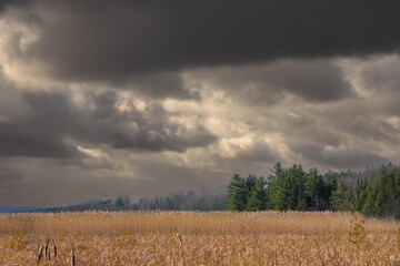 Autumn landscapes near a marsh in Canada in the province of Quebec
