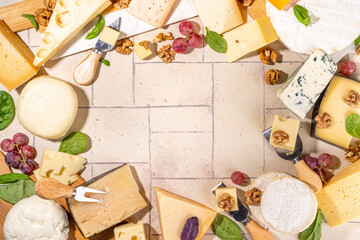 Different sorts of cheese set. Cheese platter with various cheese, with grapes, nuts, cheese knife and spices, light tiled background copy space