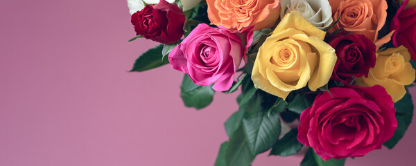 Bunch of colorful roses. Beautiful bouquet of roses in variety of colors on dusty pink background with copy space, banner size
