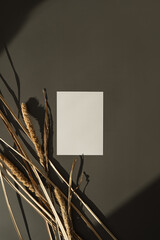 Blank paper sheet card with mockup copy space, fluffy dried pampas grass in aesthetic warm sunlight...