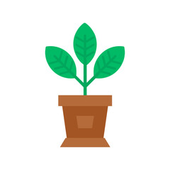 House Plants Icon