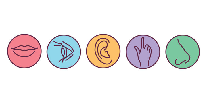 Five human senses color line icons set.