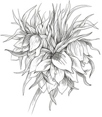 black and white flower transparent png