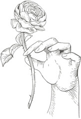 hand drawn sketch of a person with a rose transparent png