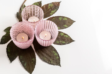 Pink glass candlesticks with candles on a dried monstera leaf. White background. Photo