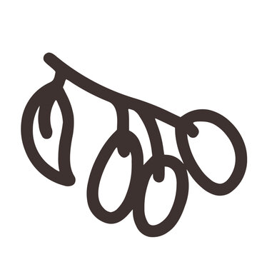 brown olives branch simple drawing clip art preview