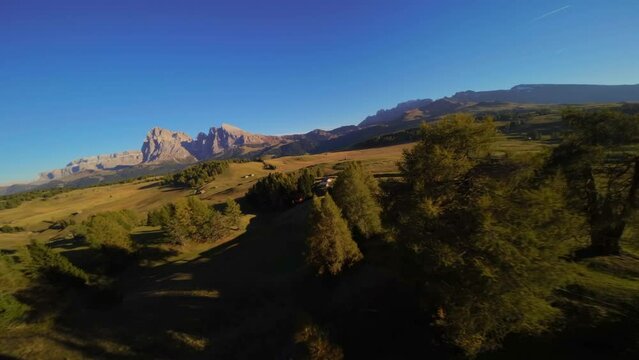 Mountains, forest and grass fields  filmed at Alpe di Siusi in Alps, Italian Dolomites filmed in vibrant colors at sunset. Filmed with a fpv drone flying over, under and by objects in wide view 4k.