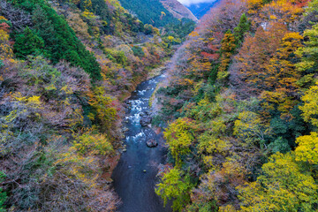 鳩ノ巣渓谷の紅葉