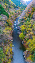 鳩ノ巣渓谷の紅葉