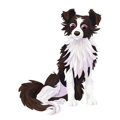 Border collie cute pet, character sitting in cartoon style isolated on white background. Detailed fur, adorable animal. - obrazy, fototapety, plakaty
