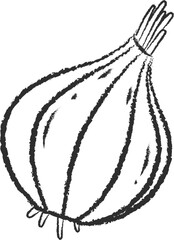 Chalked sketch onion vegetable icon vector illustration. White chalk style line hand drawn vegetable sketch icon for restaurant menu promo design
